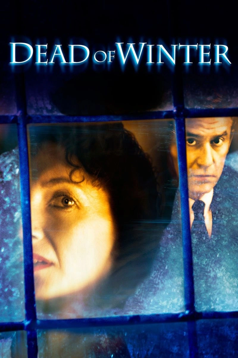 Affiche de Froid Comme la Mort