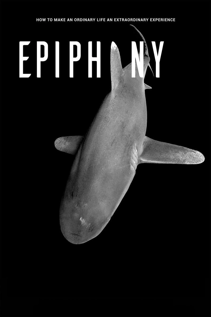 Poster van Epiphany