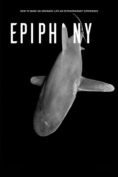 Affiche Epiphany