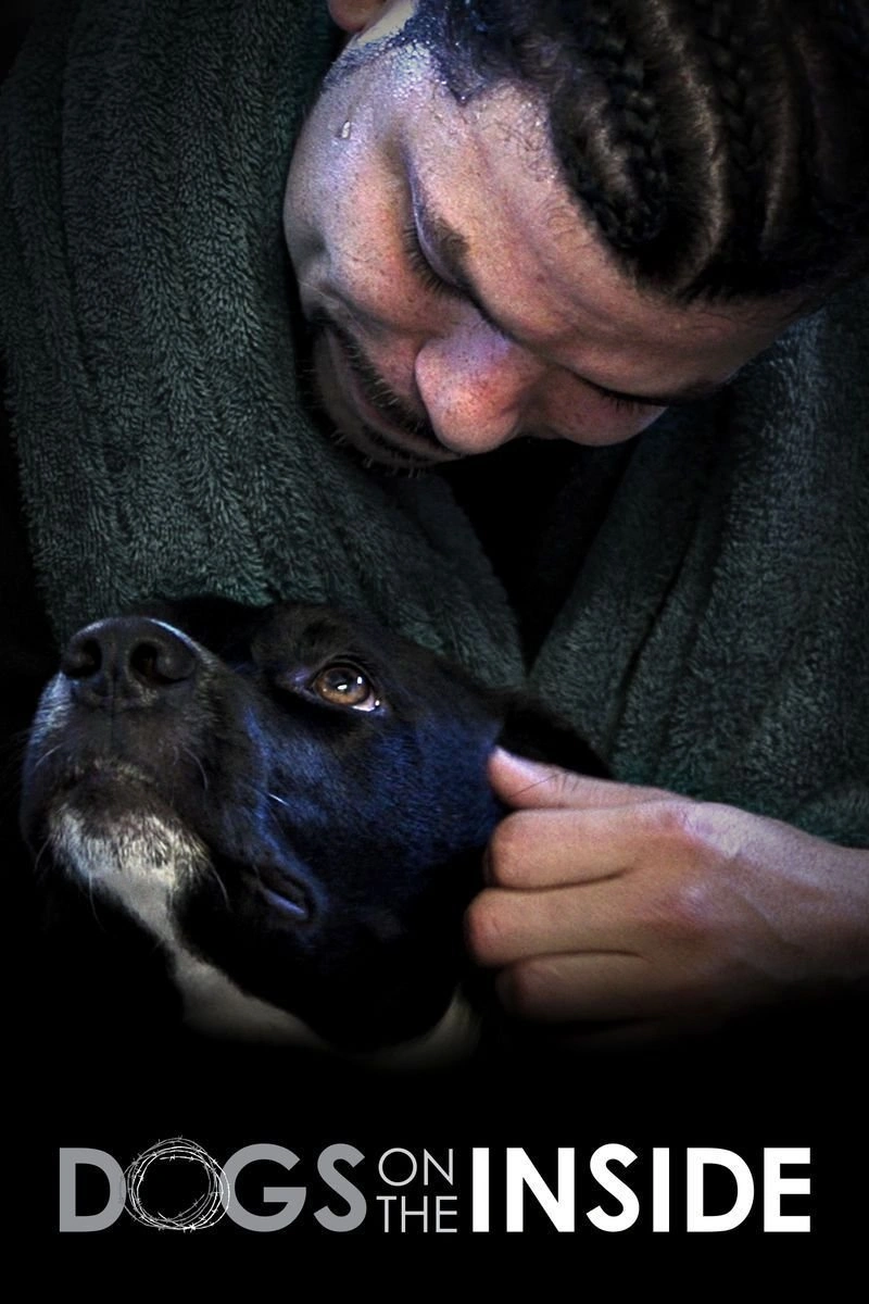 Affiche de Dogs on the Inside