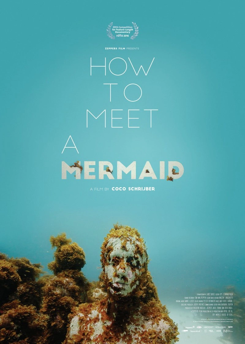 Poster van How to meet a Mermaid