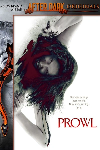 Poster After Dark: Prowl