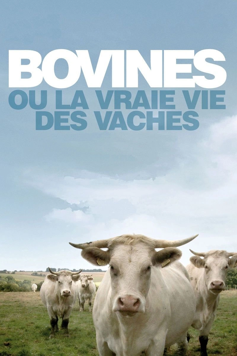 Poster van Het Leven van een Koe