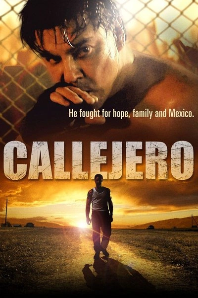 Affiche Callejero