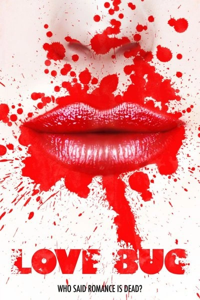 Poster Love Bug