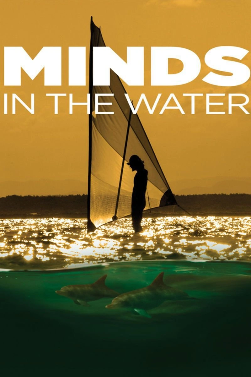 Affiche de Minds In the Water