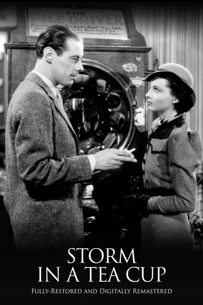Affiche Storm in a Teacup