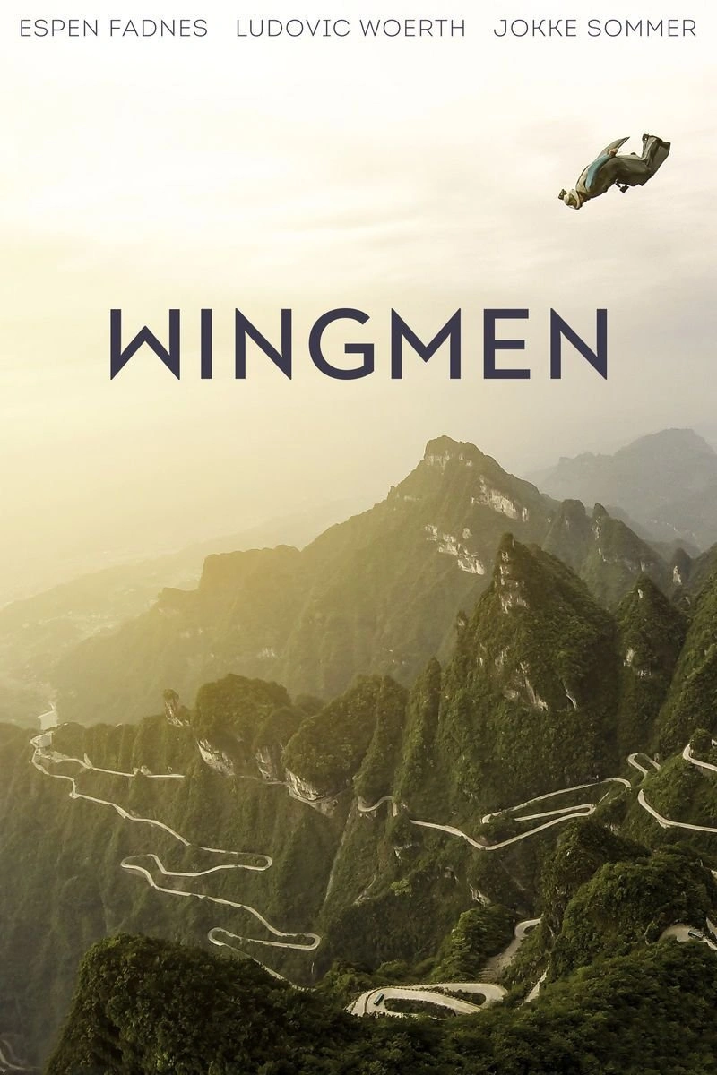 Poster van Wingmen