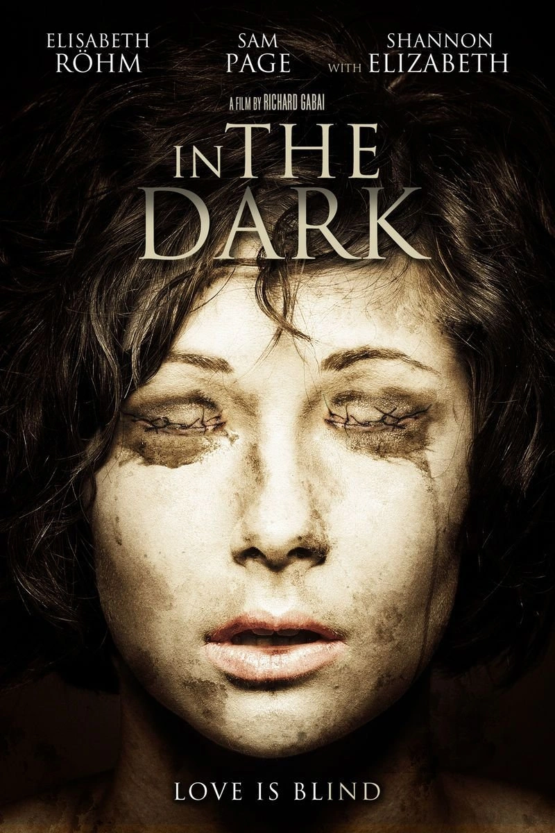 Affiche de In the Dark