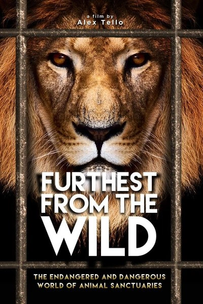 Affiche Furthest From the Wild