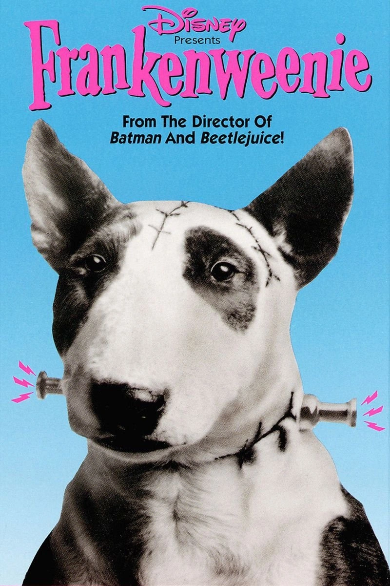Affiche de Frankenweenie