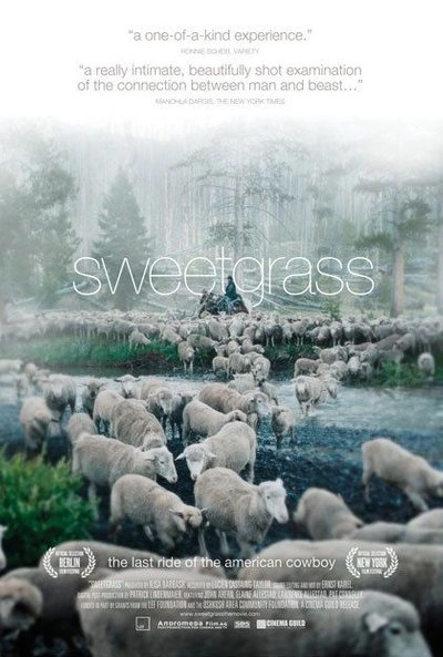 Poster Sweetgrass