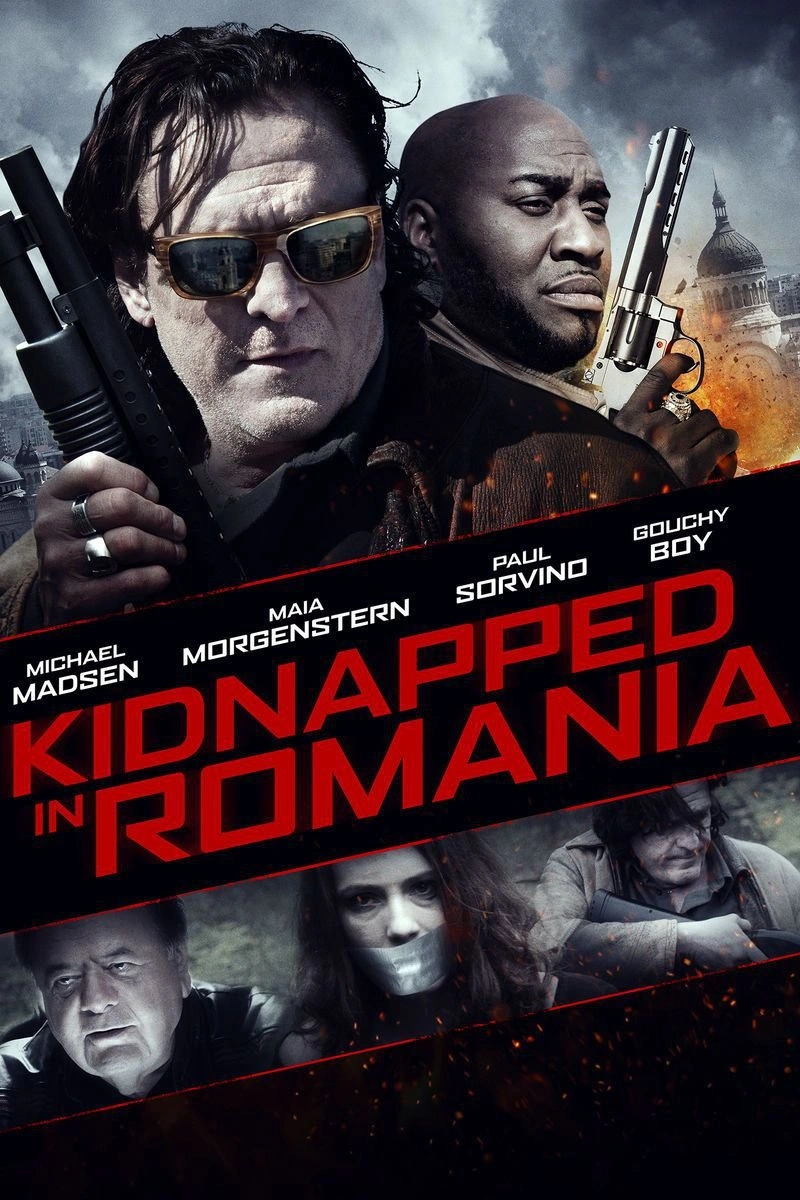 Affiche de Kidnapped in Romania