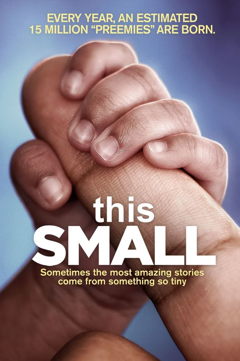 Affiche de This Small