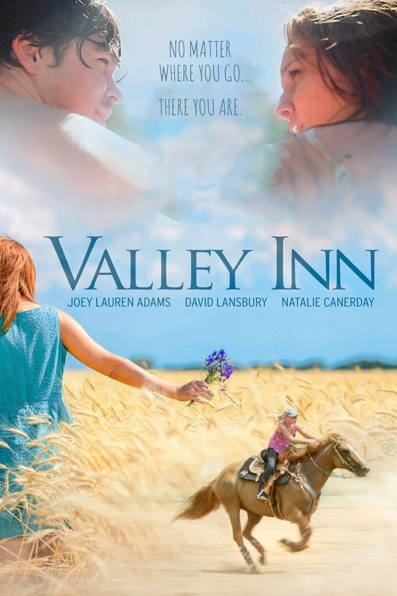 Poster van Valley Inn