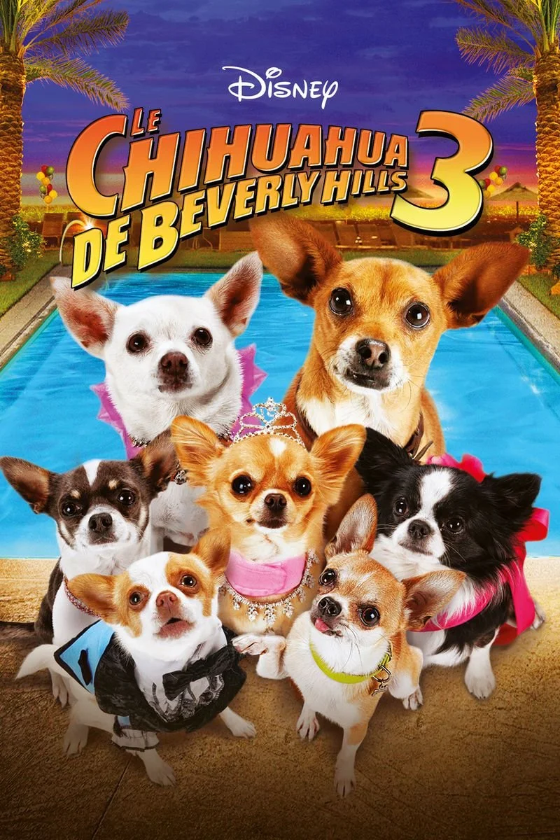 Affiche de Le Chihuahua de Beverly Hills 3