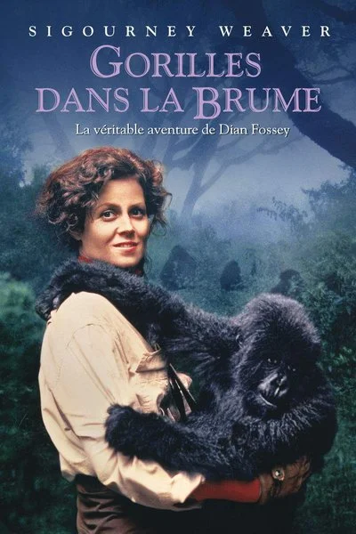 Affiche Gorilles Dans la Brume