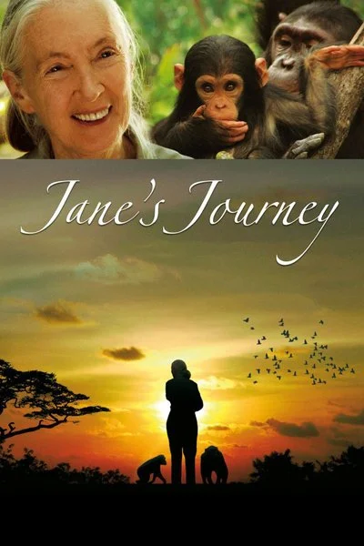 Affiche Jane's Journey