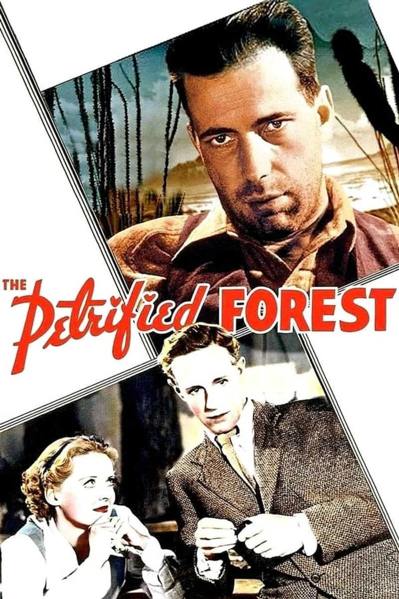 Affiche de The Petrified Forest