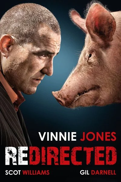 Affiche Redirected