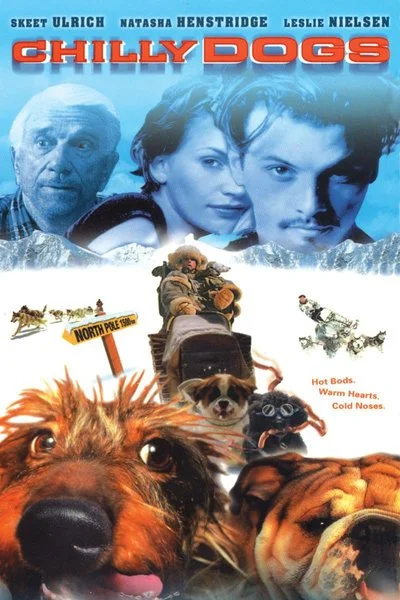 Poster Chilly Dogs