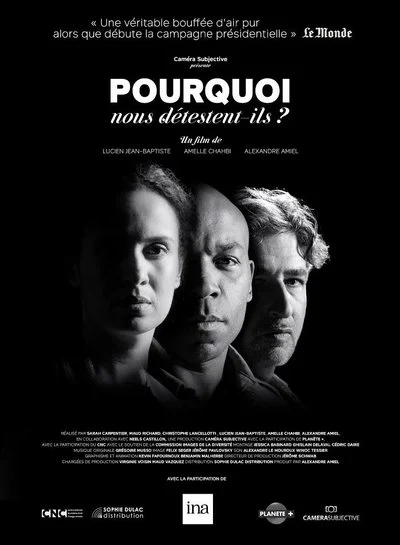Poster Pourquoi nous détestent-ils?