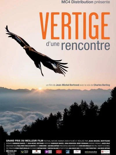 Poster Vertige d'une rencontre
