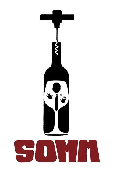 Affiche Somm