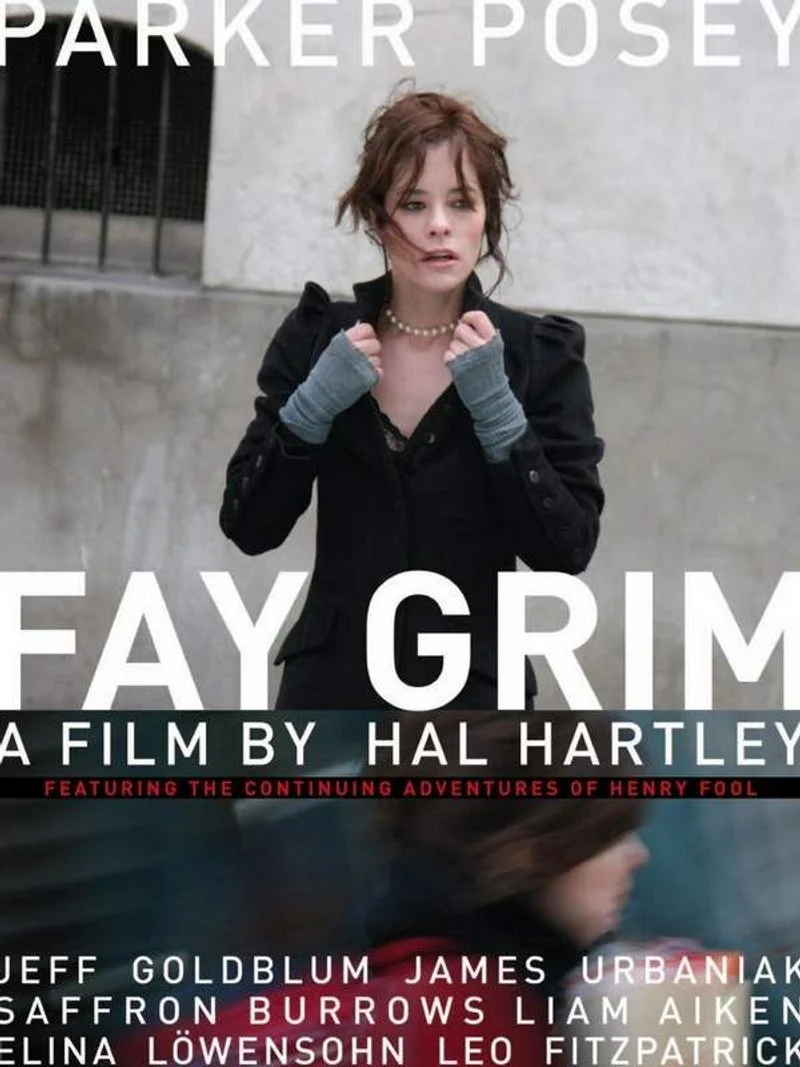 Poster van Fay Grim