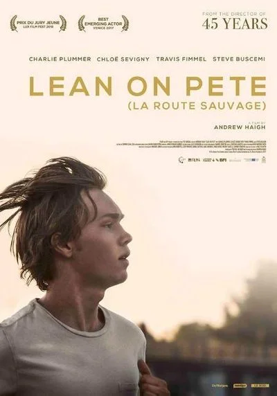 Affiche La route sauvage