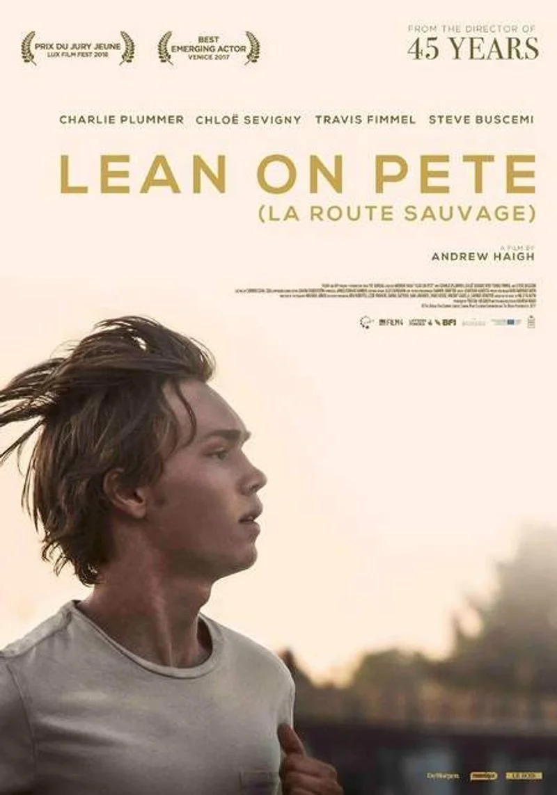 Affiche de La route sauvage