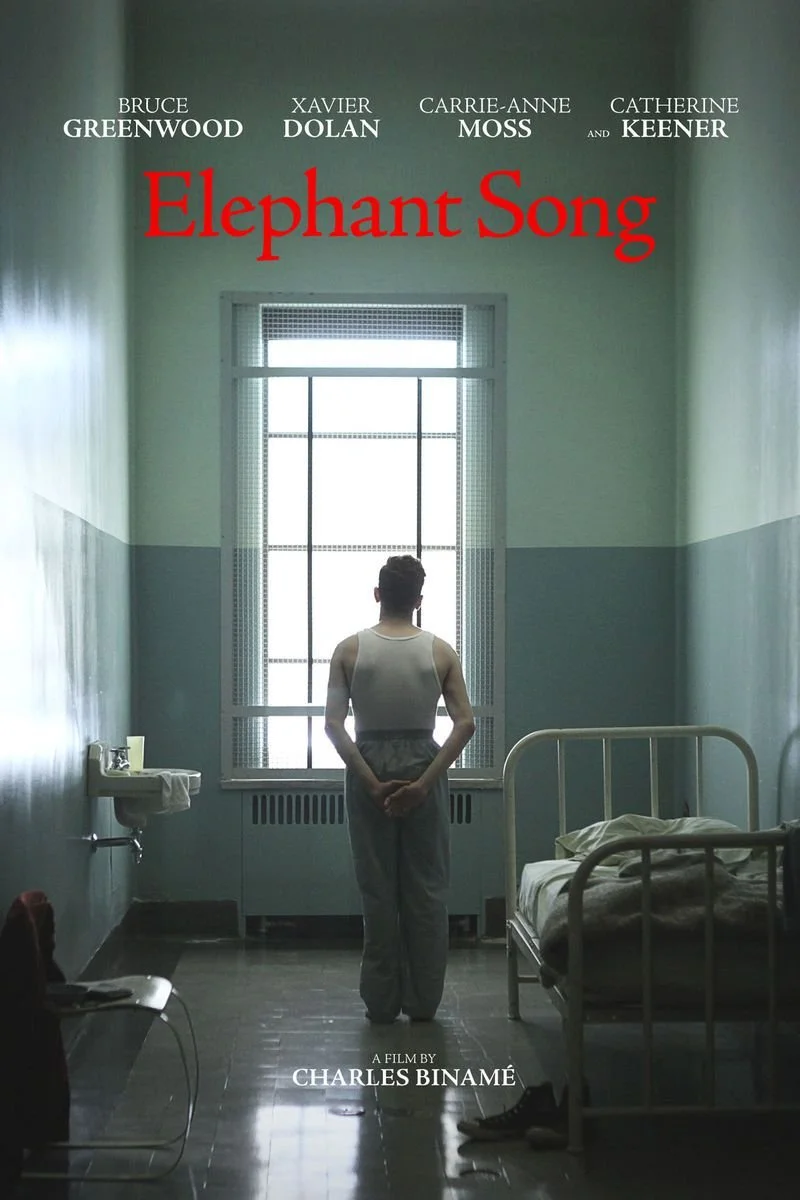 Affiche de La chanson de l'éléphant