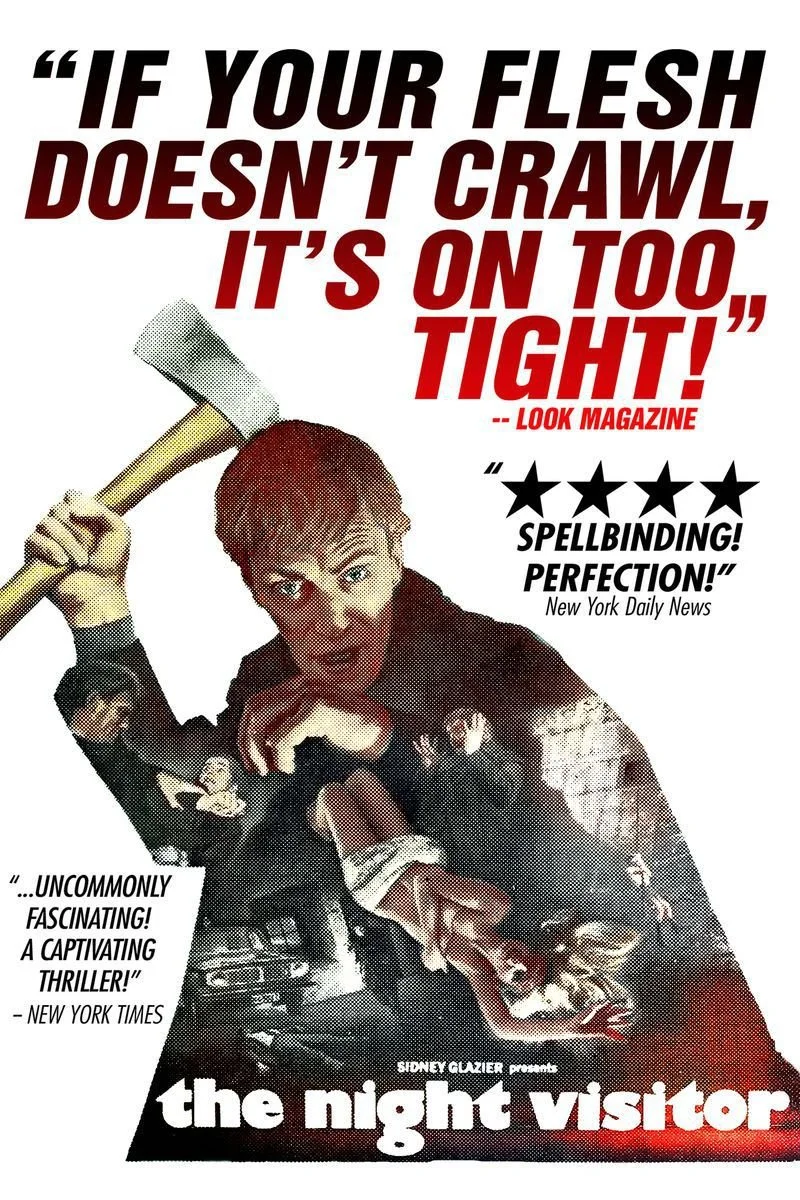 Affiche de Night Visitor