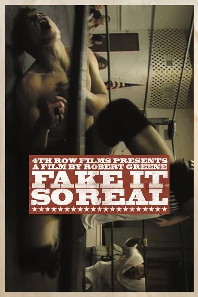 Poster Fake It So Real