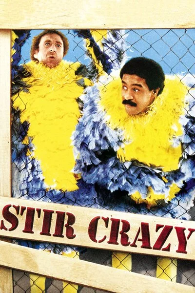 Poster Stir Crazy