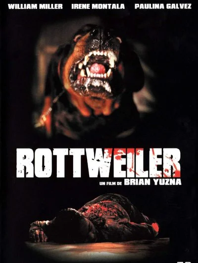 Affiche Rottweiler