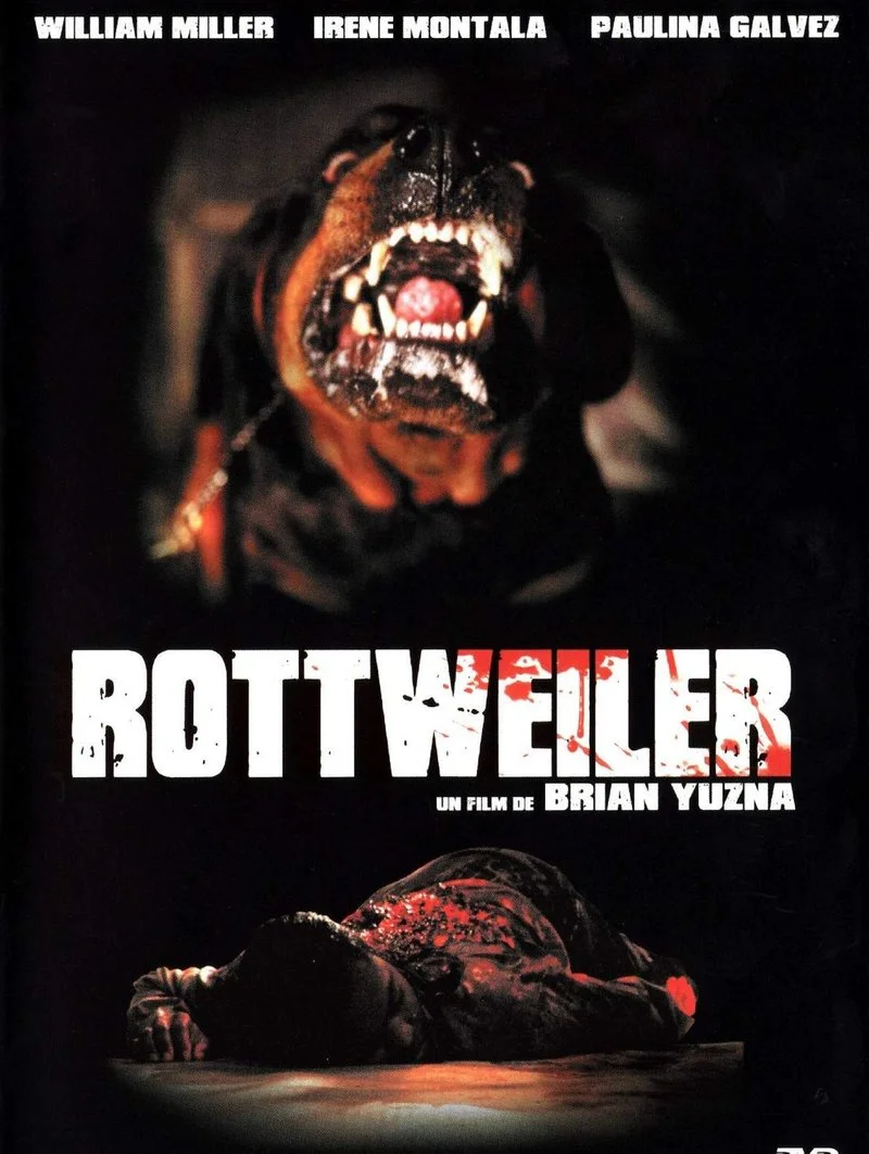 Affiche de Rottweiler
