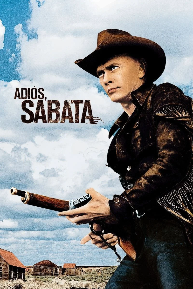 Affiche de Adios, Sabata
