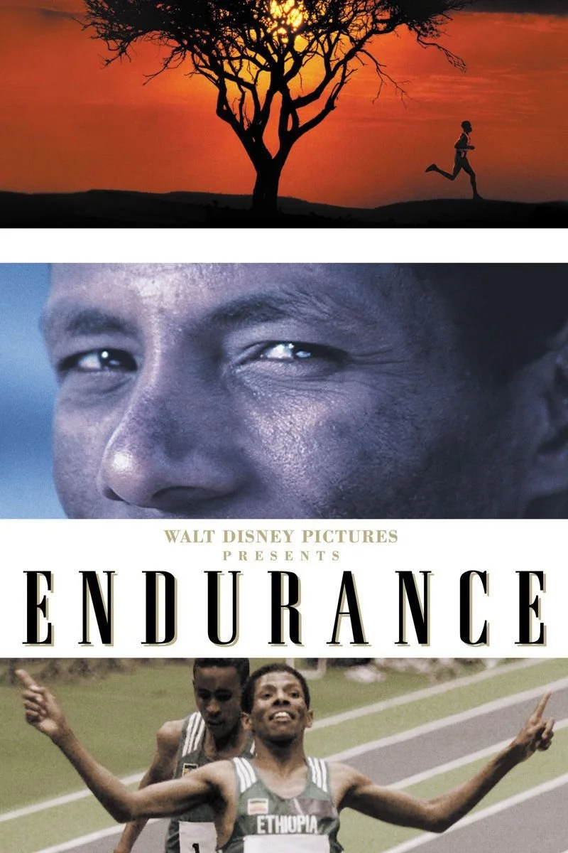 Affiche de Endurance