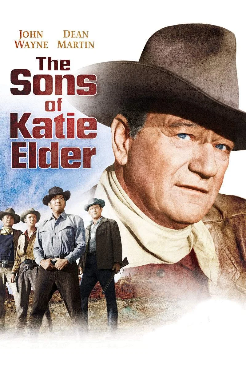 Affiche de The Sons of Katie Elder
