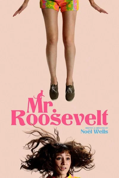 Affiche Mr. Roosevelt