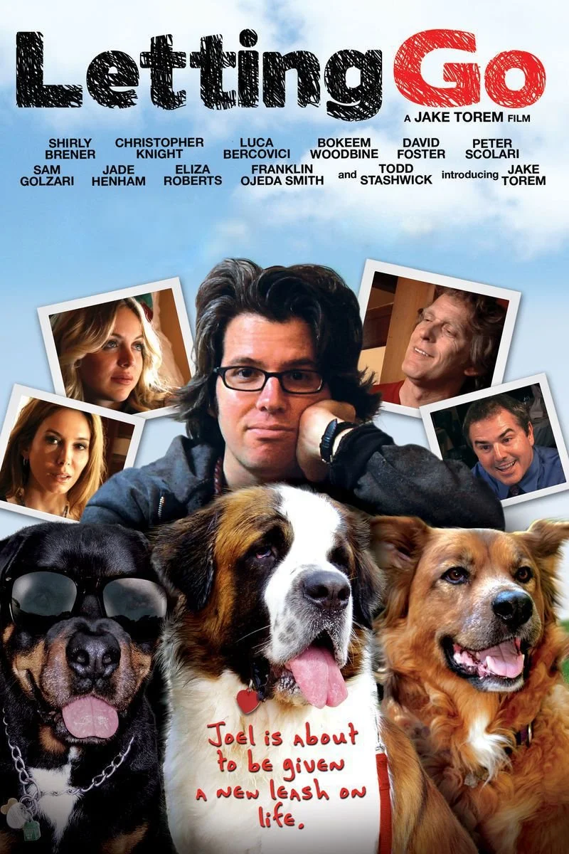 Affiche de Letting Go