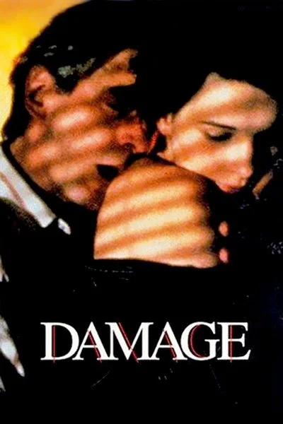 Affiche Damage