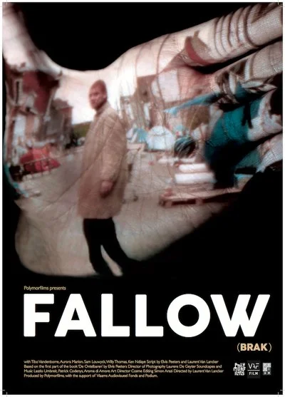 Affiche Fallow
