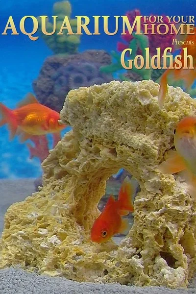 Poster Aquarium for Your Home Presents Goldfish