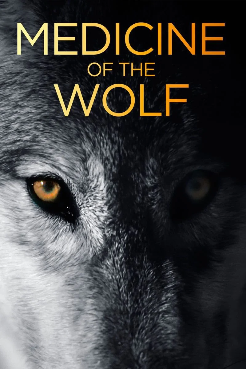 Affiche de Medicine of the Wolf
