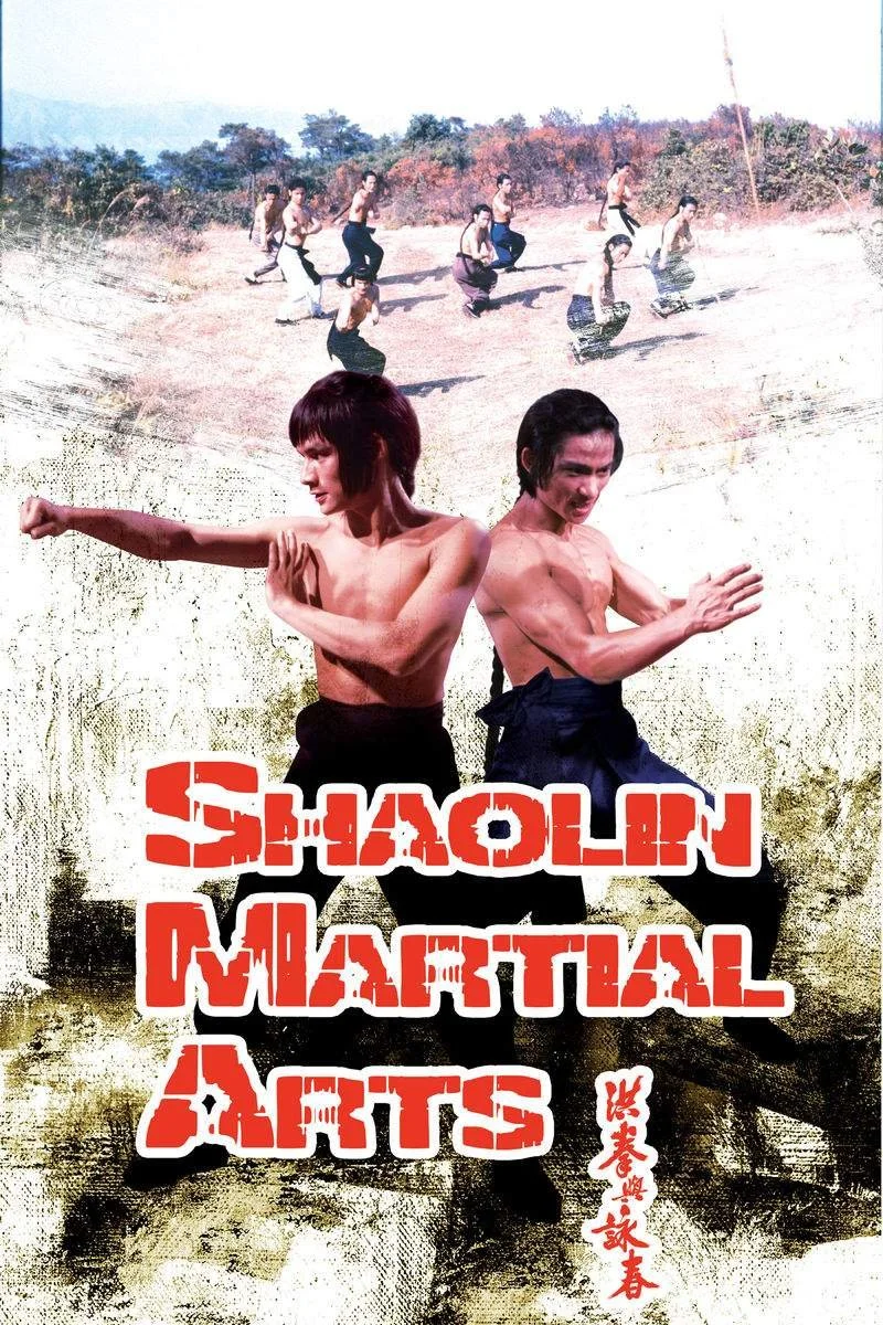 Affiche de Shaolin Martial Arts