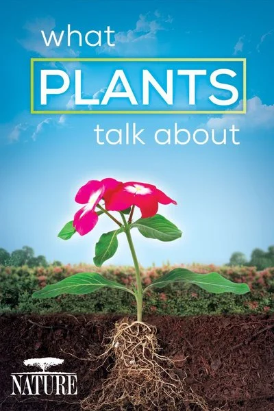 Poster Nature: What Plants Talk About