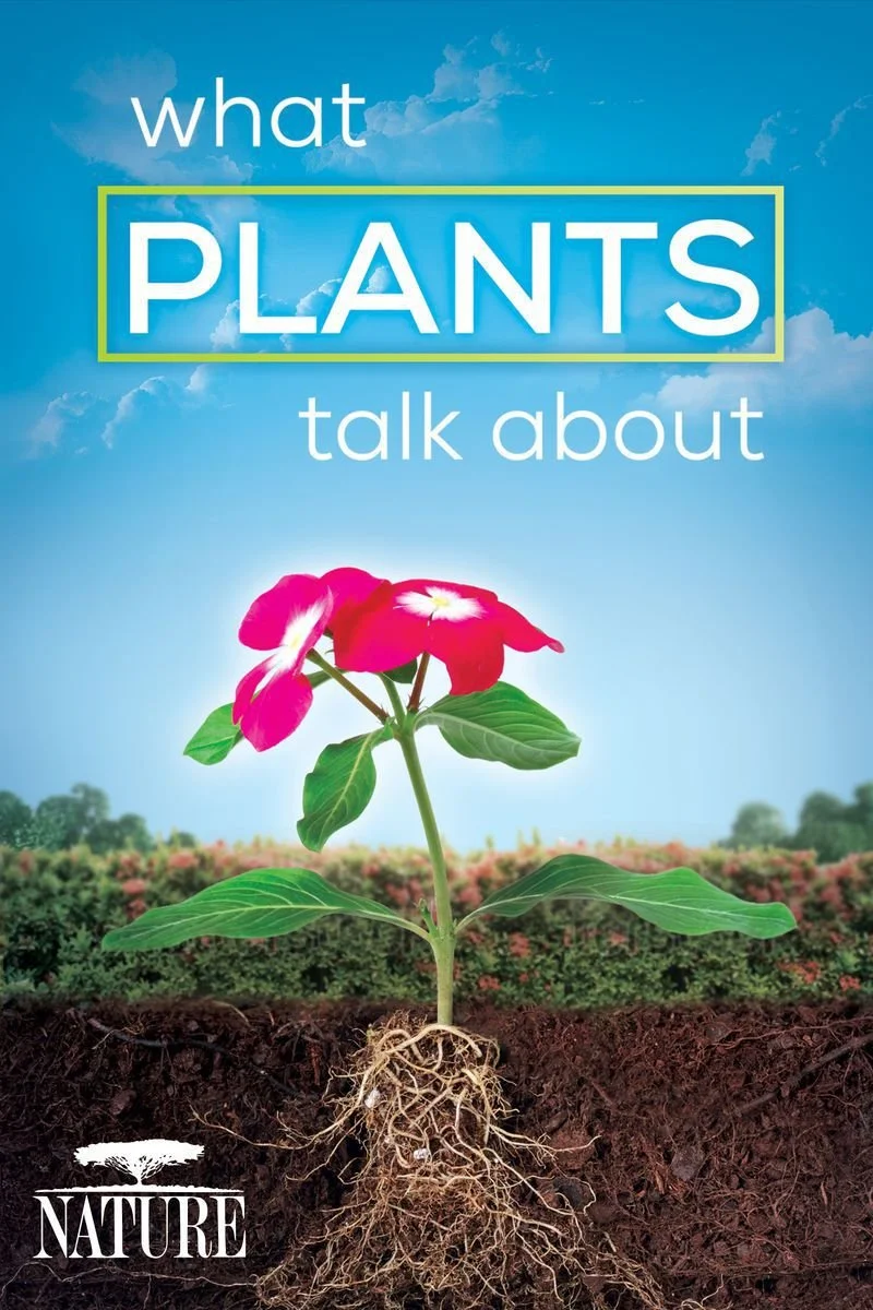 Poster van Nature: What Plants Talk About