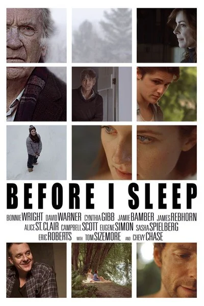 Poster Before I Sleep